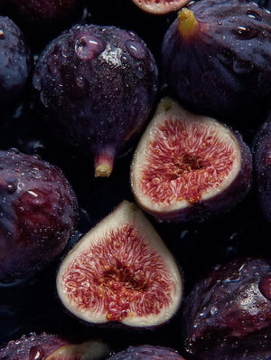 Fig