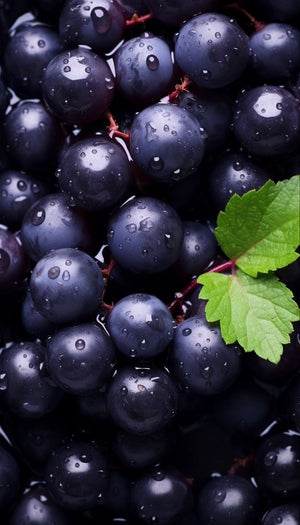 Black Currant
