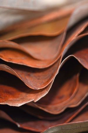 Tobacco