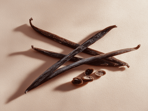 Damask rose