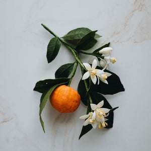 orange blossom