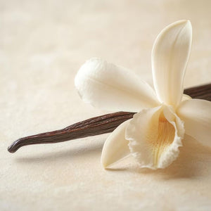 Vanilla orchid